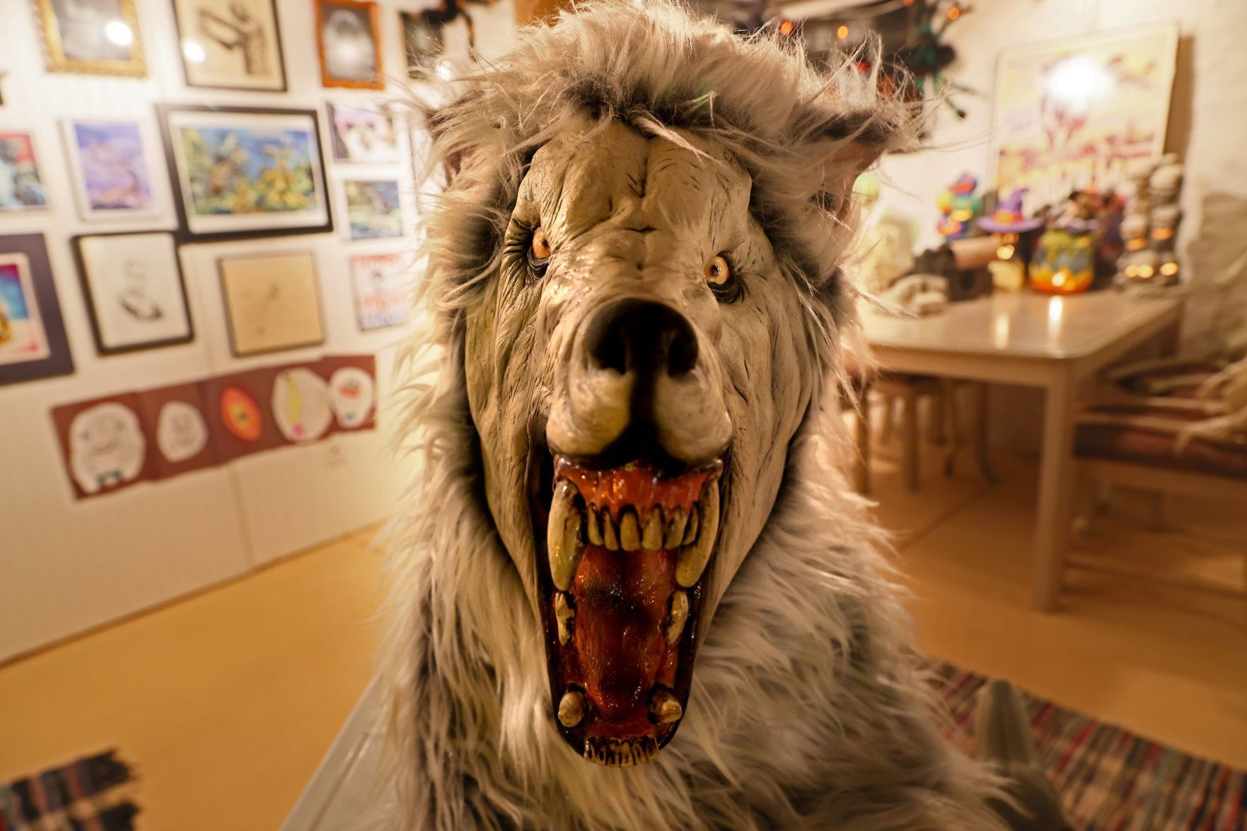 Halloween enthusiast keeps permanent themed display